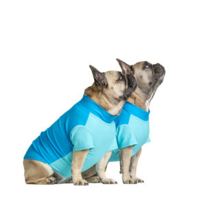 Pawsome summer PRO hűtőpóló - Image 3