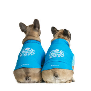 Pawsome summer PRO hűtőpóló - Image 2