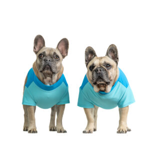 Pawsome summer PRO hűtőpóló - Image 1